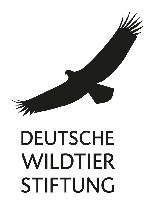 Deutsche Wildtier Stiftung ist Kooperationspartner des Vereins